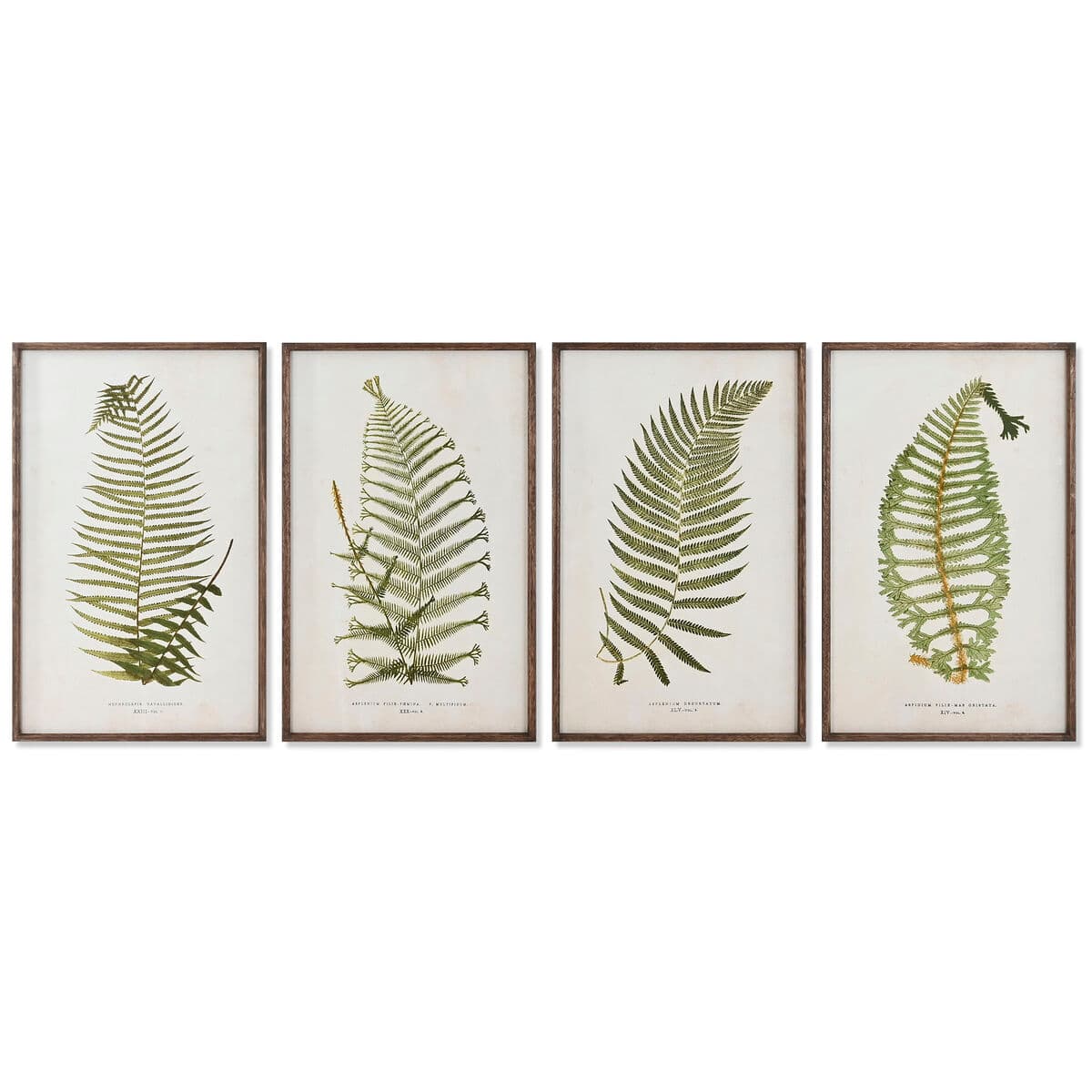Bild Home ESPRIT Kristall Tanne 45 x 2,5 x 70 cm
